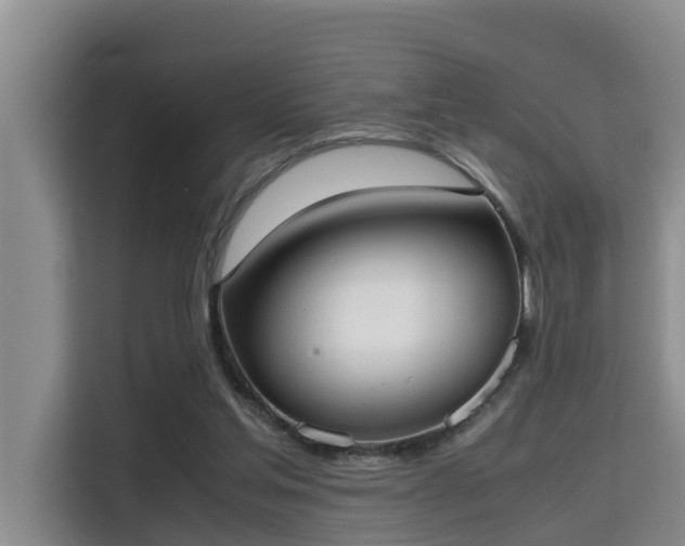 X0000115720205200911191358
