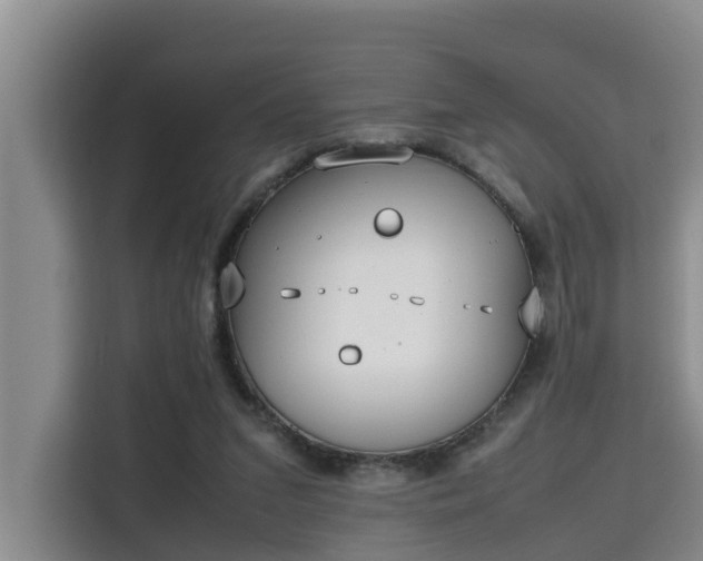 X0000115720207200911191358