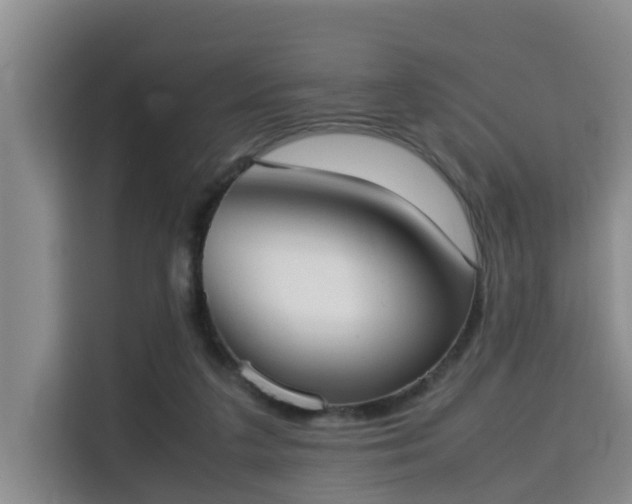 X0000115720211200911191358