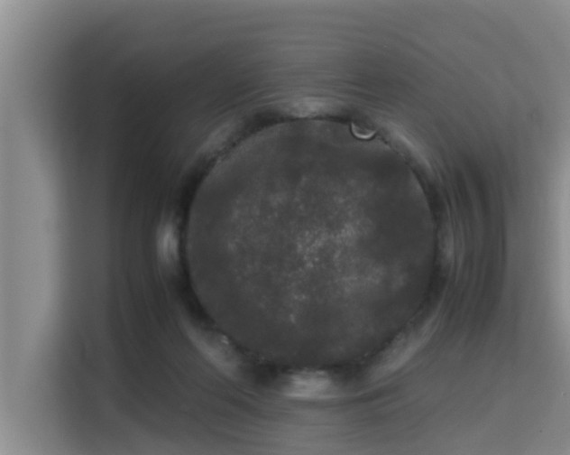 X0000115720214200911191358