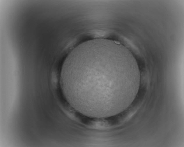 X0000115720215200911191358