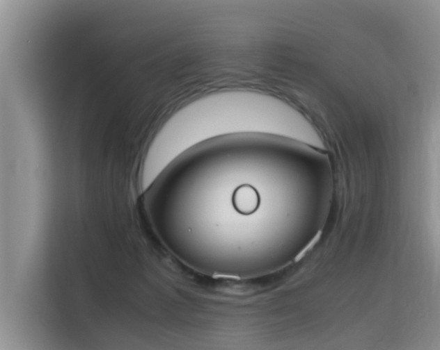 X0000115720221200911191358