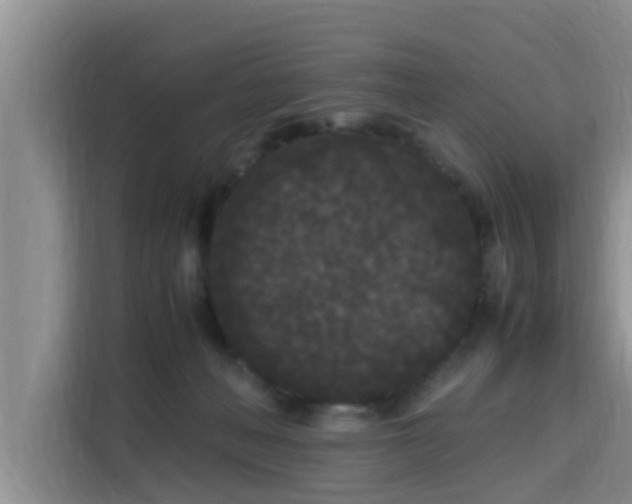 X0000115720222200911191358