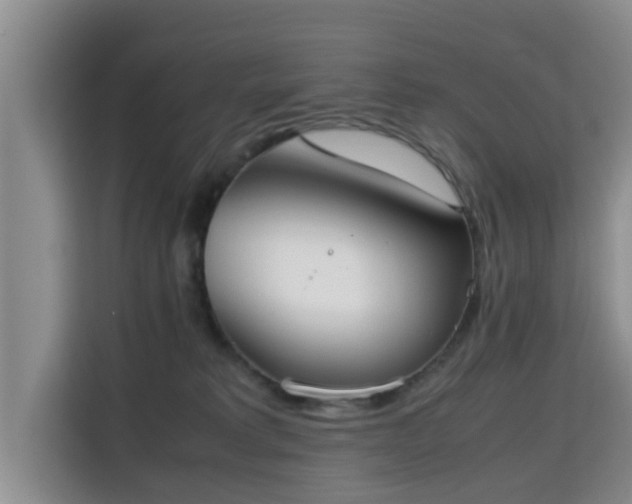 X0000115720229200911191358