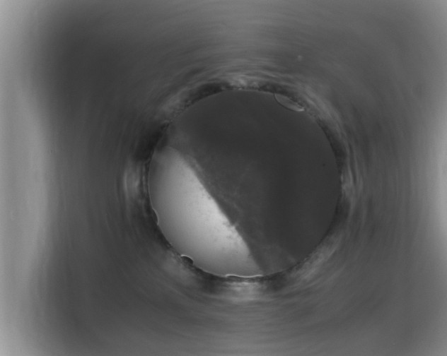 X0000115720233200911191358