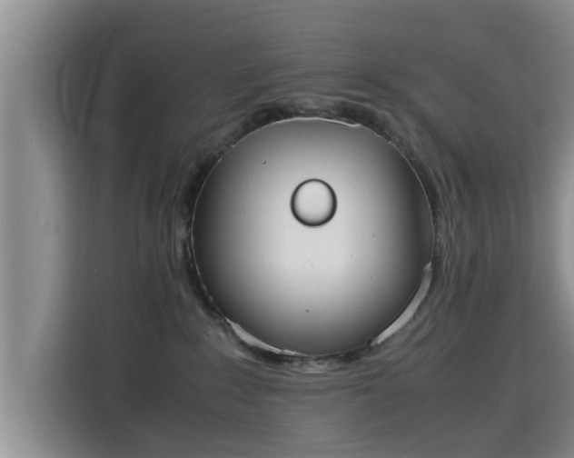 X0000115720235200911191358