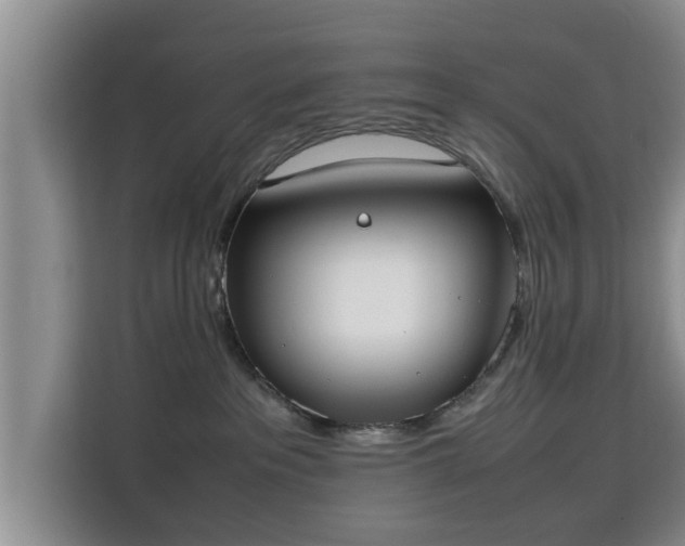 X0000115720237200911191358
