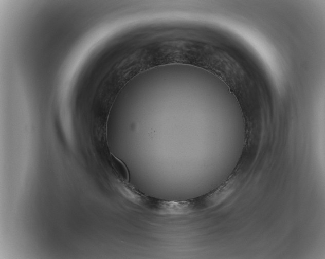X0000115720239200911191357