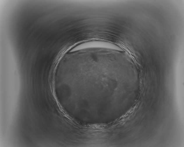 X0000115720241200911191357