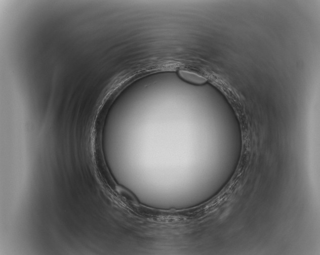 X0000115720242200911191357