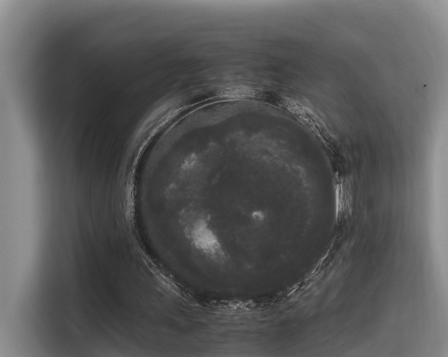 X0000115720243200911191357