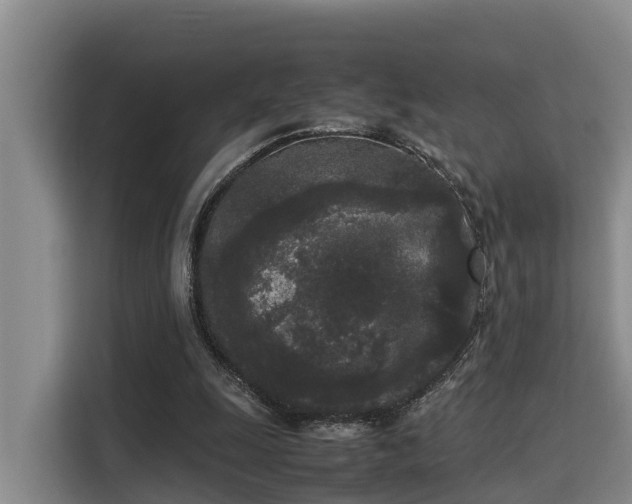 X0000115720247200911191357