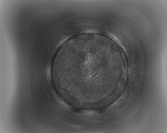 X0000115720249200911191357