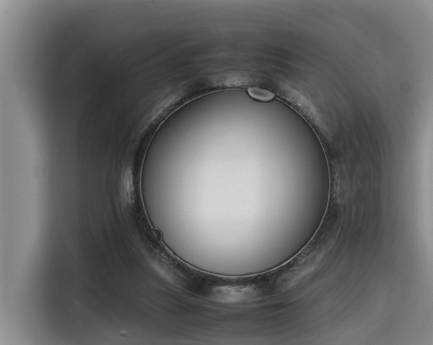 X0000115720251200911191357