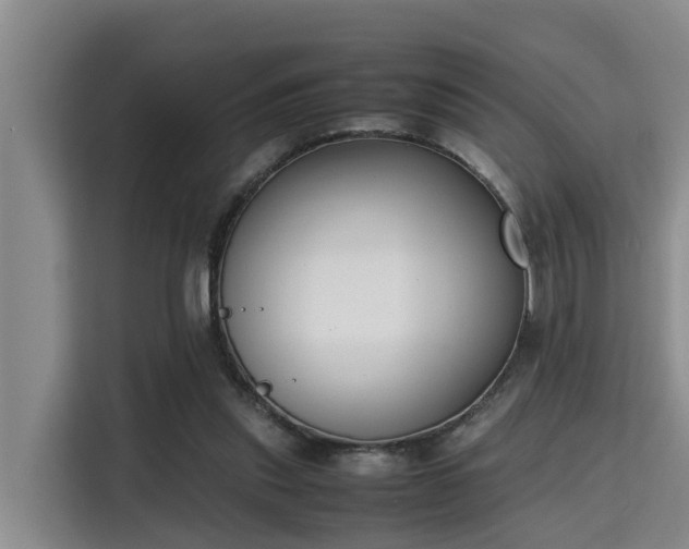 X0000115720253200911191357