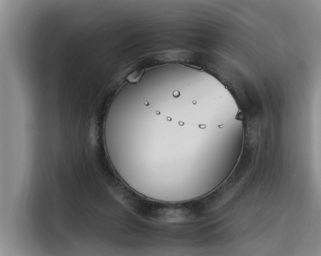 X0000115720255200911191357