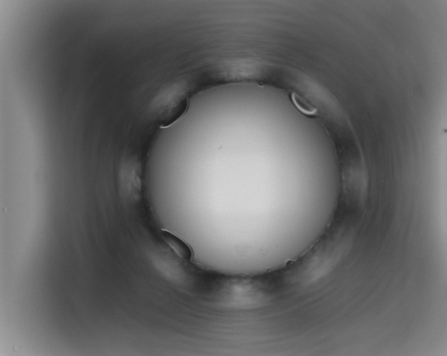 X0000115720264200911191357