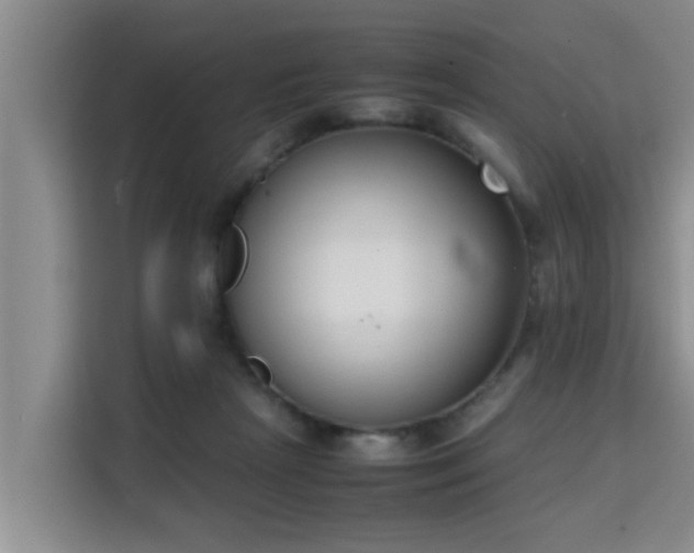 X0000115720265200911191357