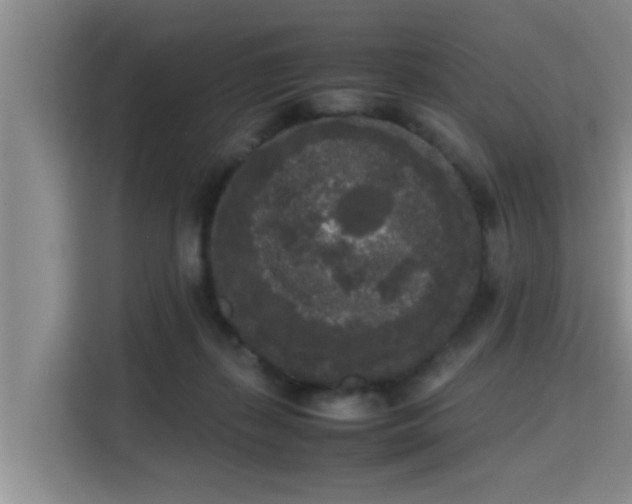 X0000115720267200911191357
