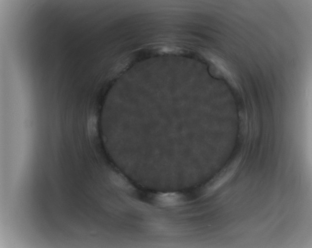X0000115720269200911191357