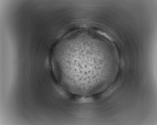 X0000115720270200911191357