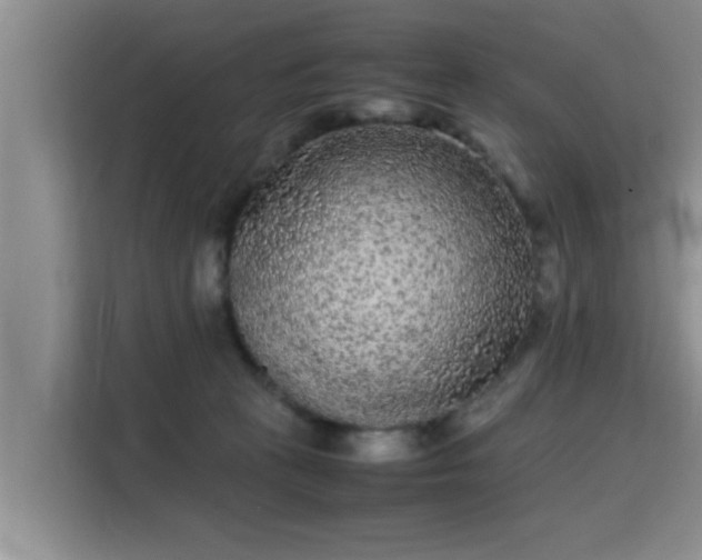 X0000115720273200911191357
