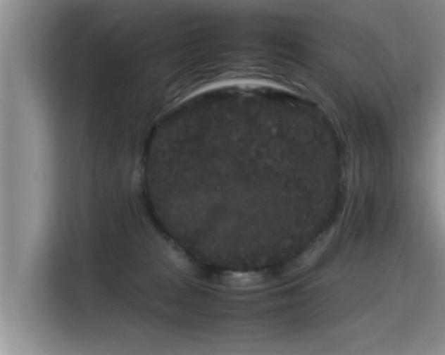 X0000115720277200911191357