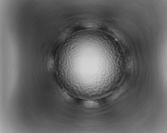 X0000115720281200911191357