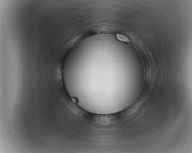 X0000115720282200911191357