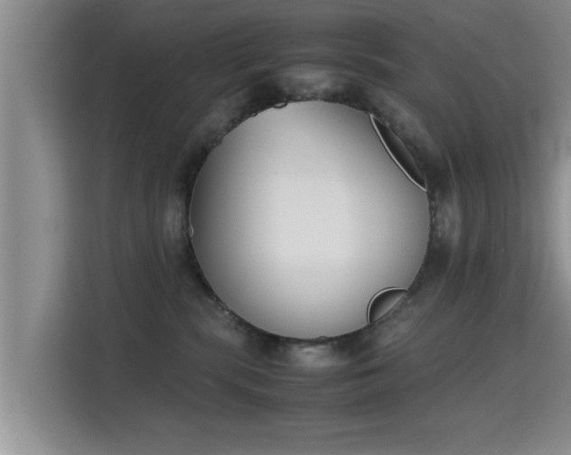 X0000115720283200911191357