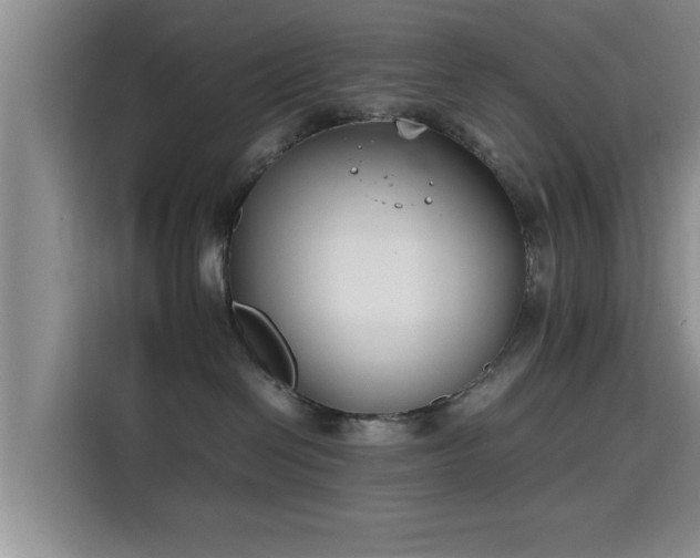 X0000115720286200911191357