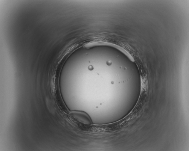 X0000115720291200911191357