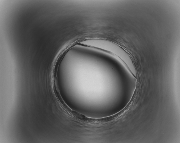 X0000115720293200911191357