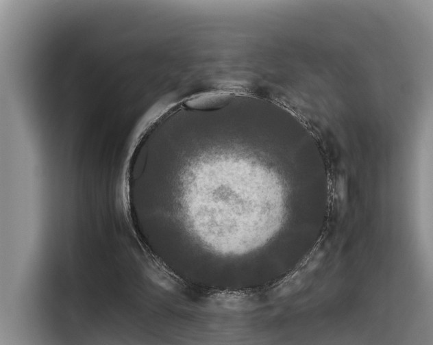 X0000115720294200911191357