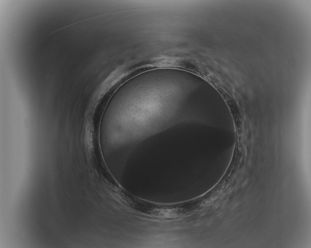 X0000115720295200911191357