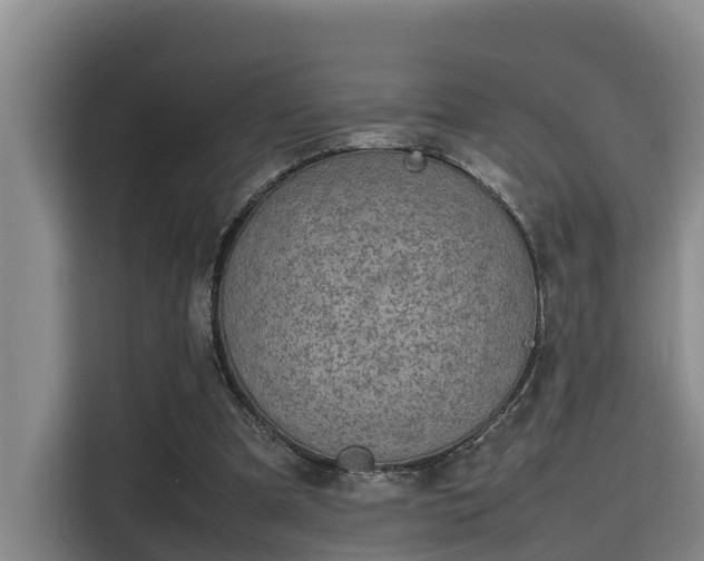 X0000115720297200911191357