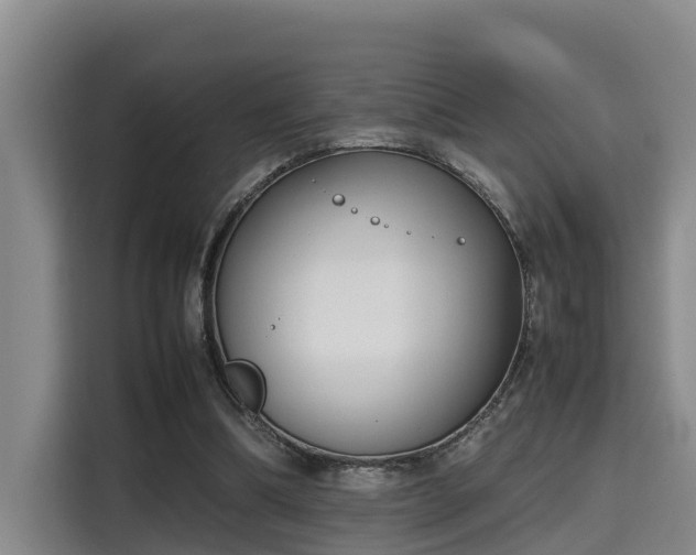 X0000115720298200911191357