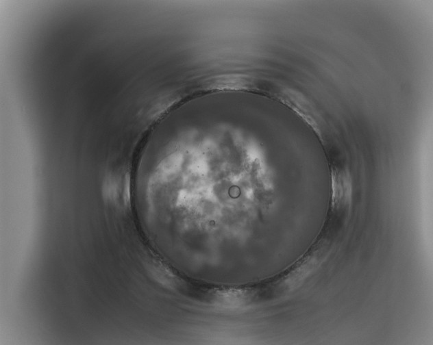 X0000115720301200911191357