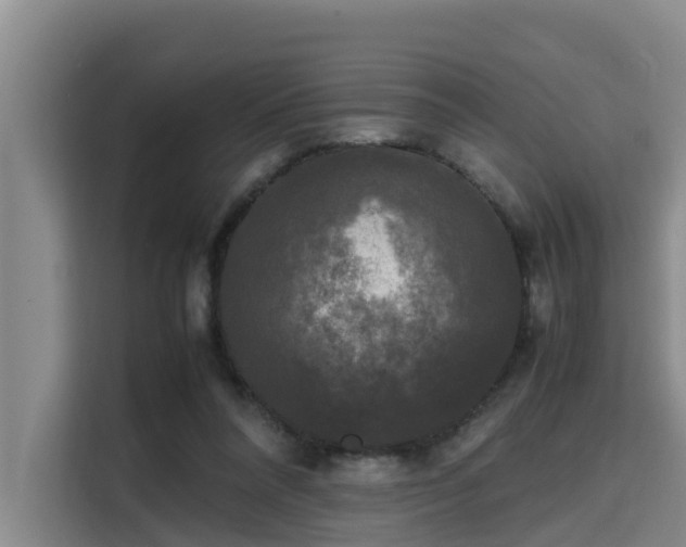 X0000115720304200911191357