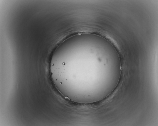 X0000115720305200911191357