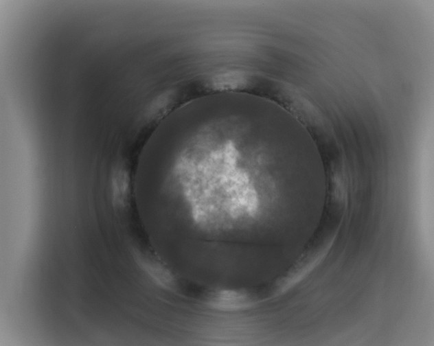 X0000115720308200911191357