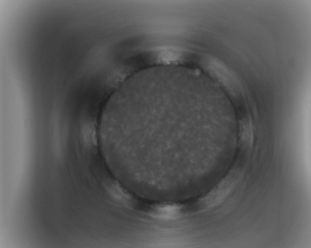 X0000115720313200911191357