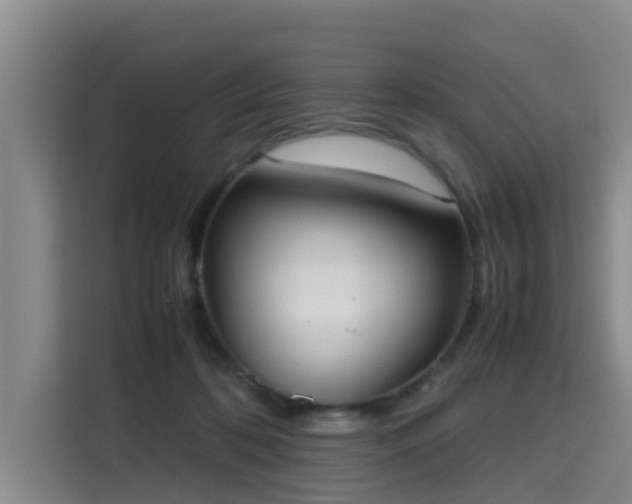 X0000115720316200911191356