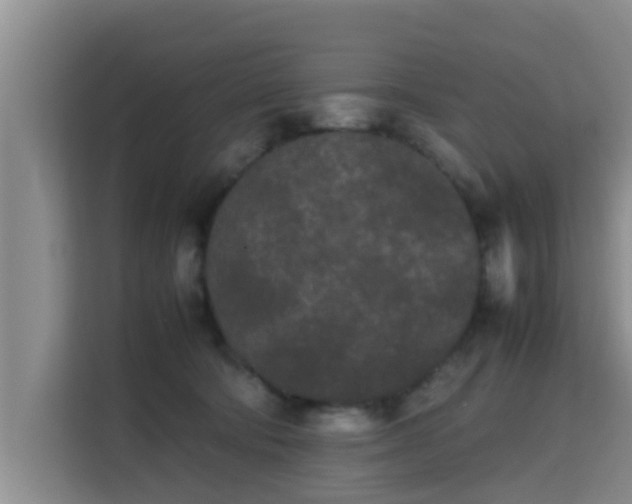 X0000115720322200911191356
