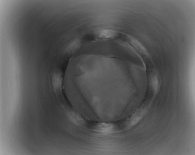 X0000115720328200911191356