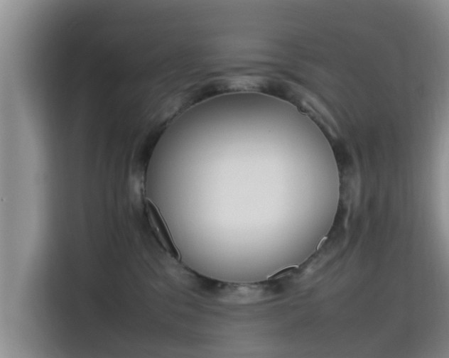 X0000115720329200911191356
