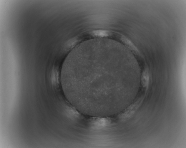 X0000115720330200911191356