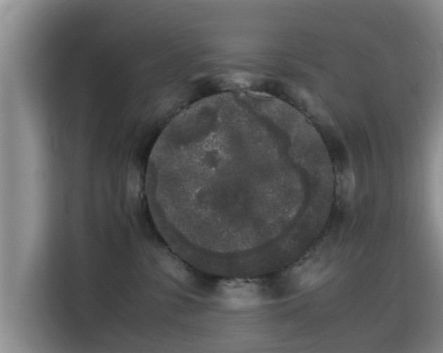 X0000115720331200911191356