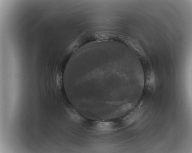 X0000115720332200911191356