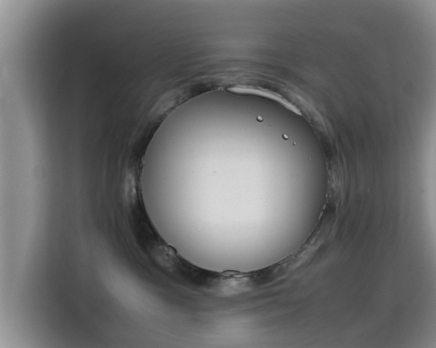 X0000115720333200911191356